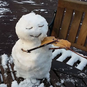 Meet your Posher, Freesia